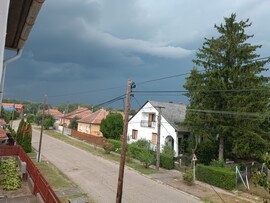 Polgár