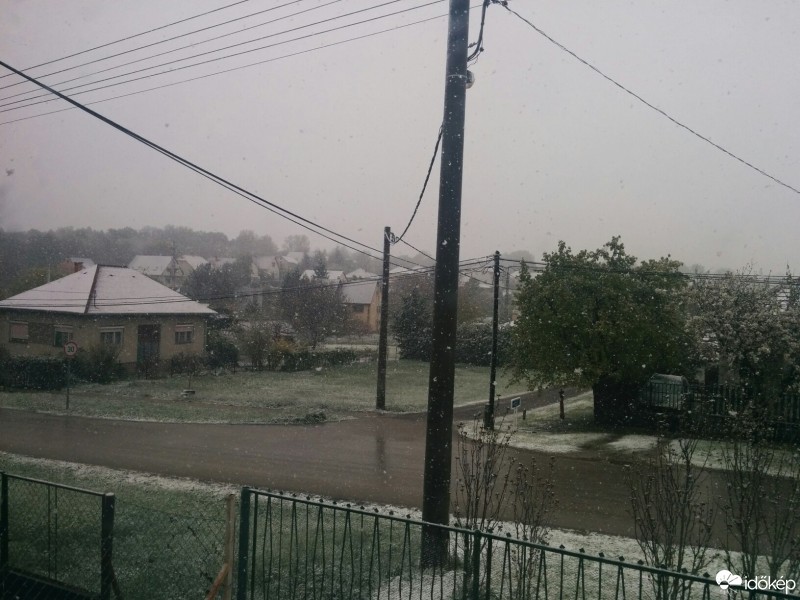 Észlelési fényképek