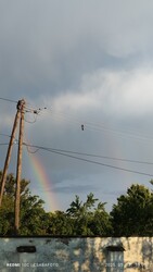 Madaras