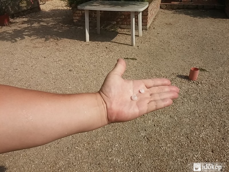 Észlelési fényképek