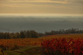 Görögszó, kora reggel 2025.11.02