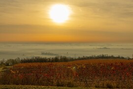 Varázslatos reggel...