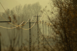 Ködös naplemente fényei