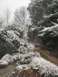 Budapest XII.ker - Széchenyi-hegy