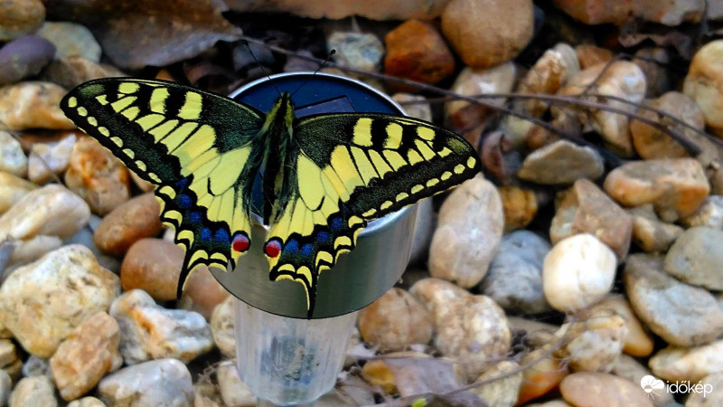 #MaradjOtthon #VigyázzunkEgymásra