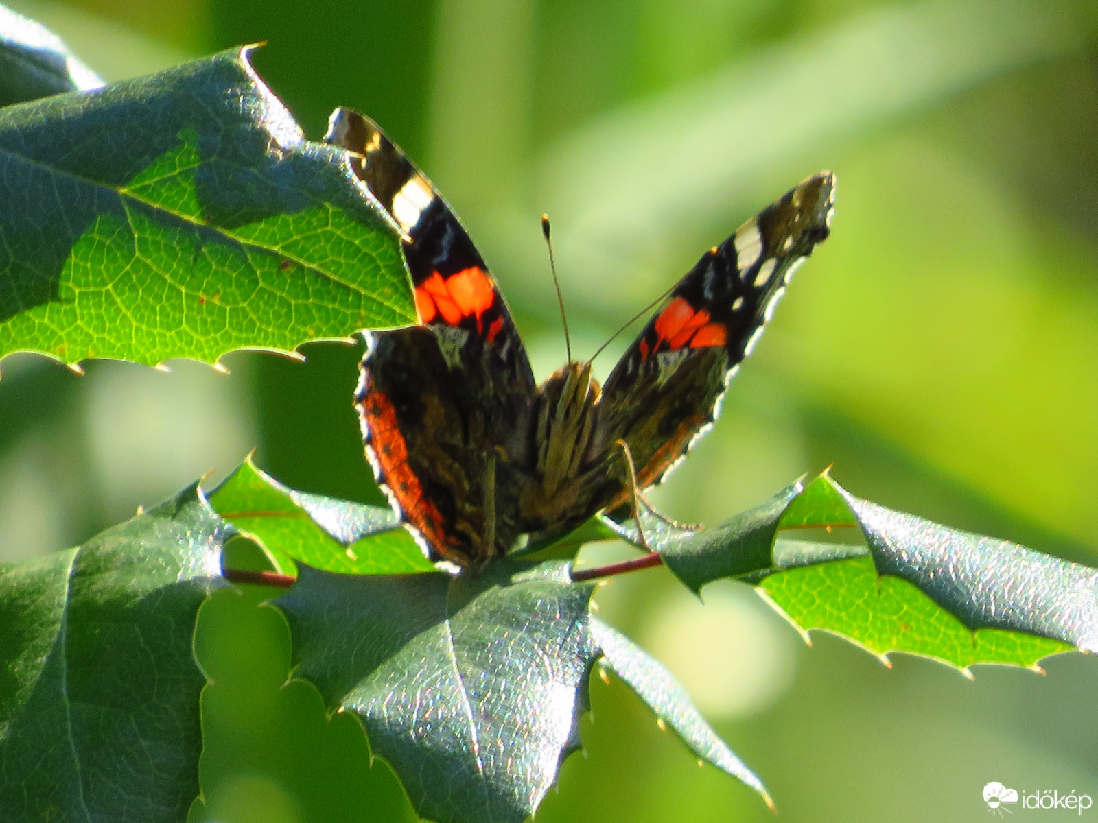 Felszállási engedélyre várva :)