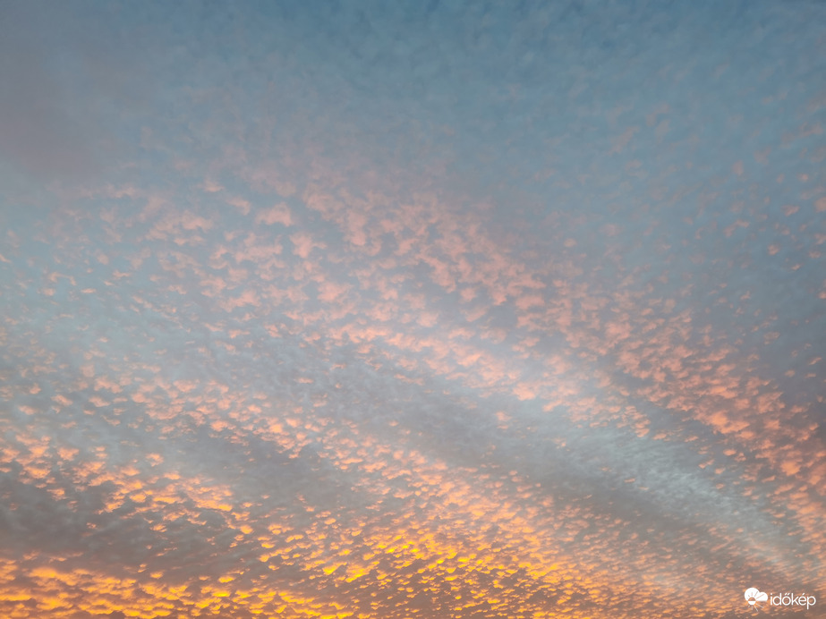 Arany Altocumulus