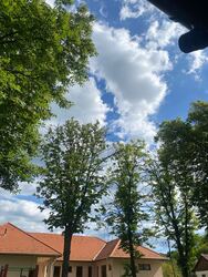 Nekézseny