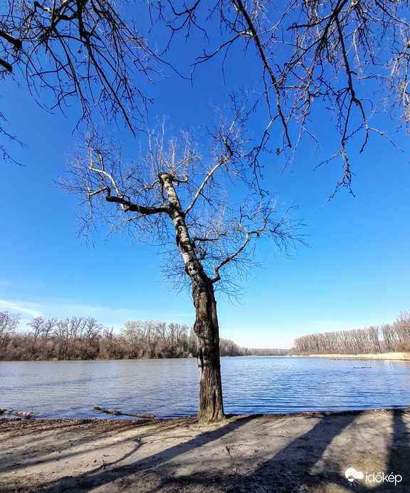 Télen a fák..