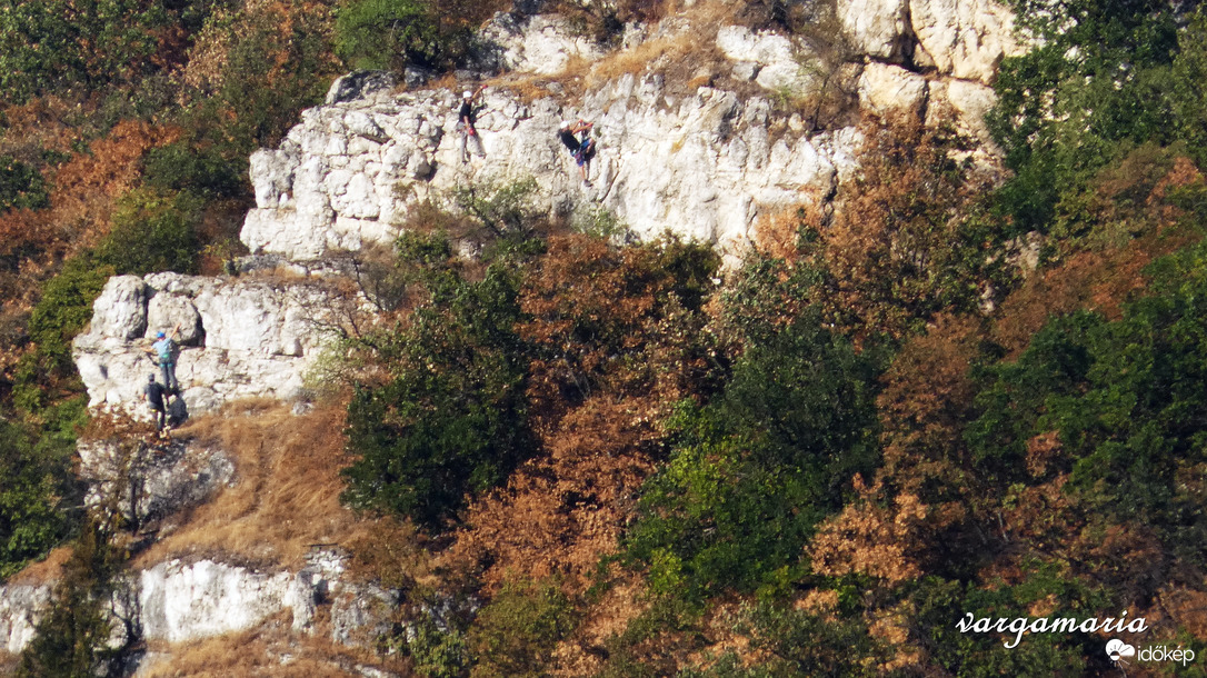 Természet