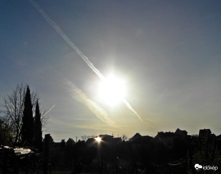 Napszilánk a háztetőn