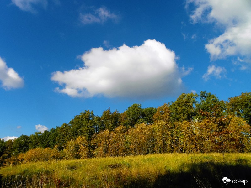 "Bárányfelhő" legelészik.