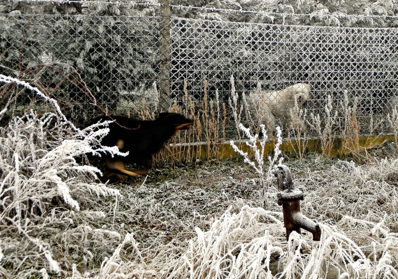 A fénysebesség közelében.