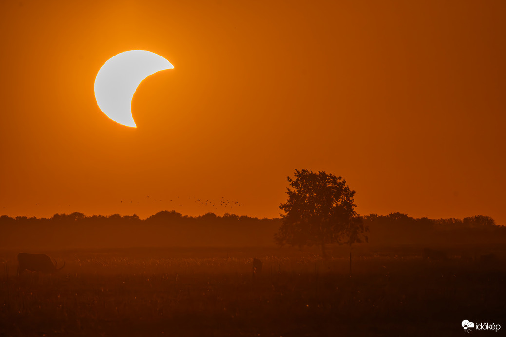 Naplemente