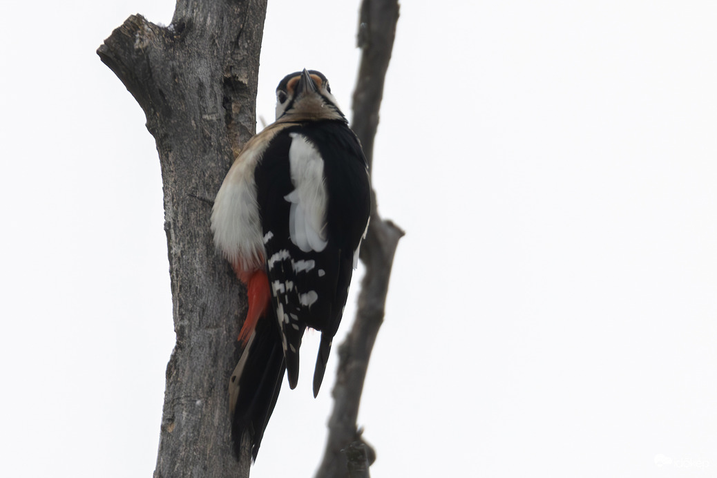 Tudom nagy a hasam, na és? 