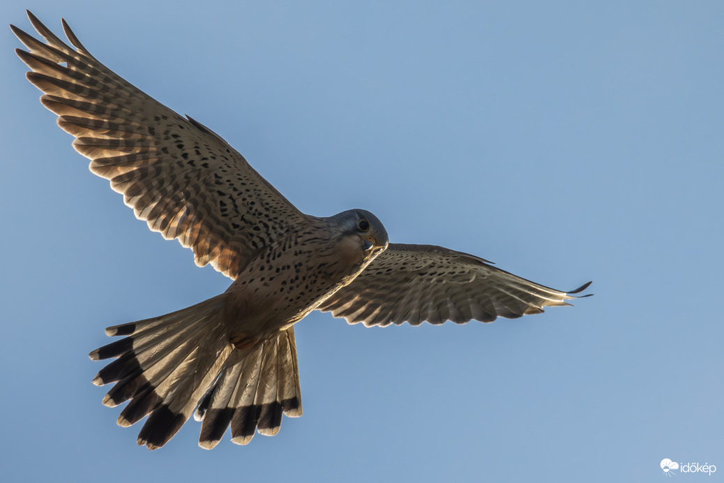 Szitáló üzemmód... -- 