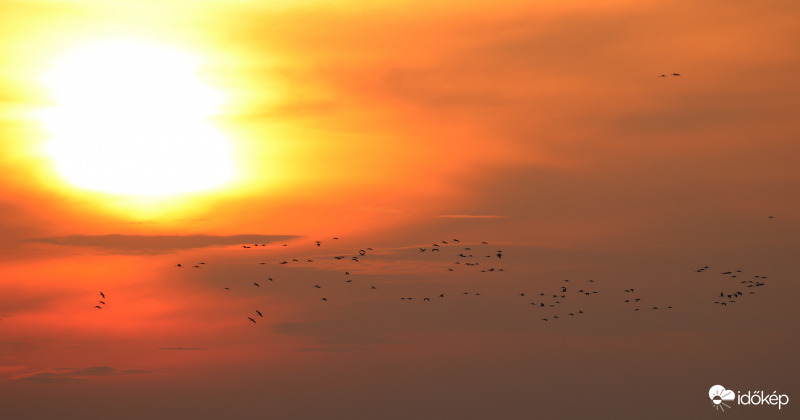 Darvak esti behúzása