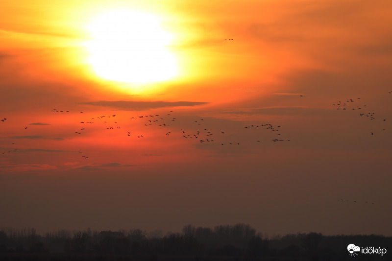 Darvak esti behúzása