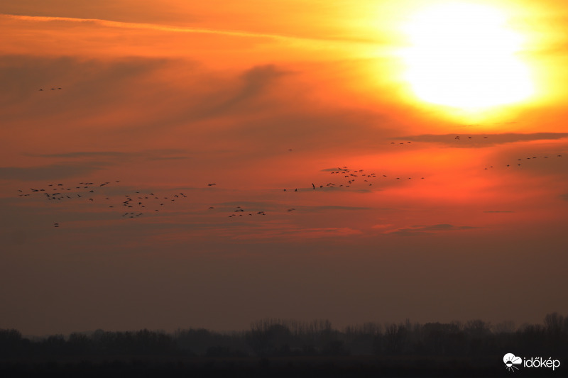 Darvak esti behúzása