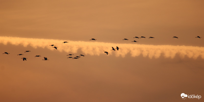 Darvak esti behúzása