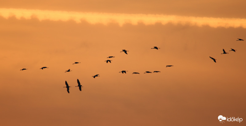 Darvak esti behúzása