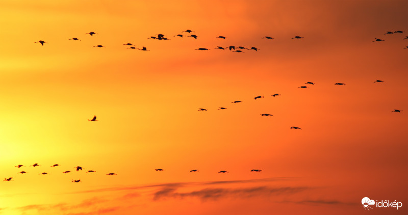 Darvak esti behúzása