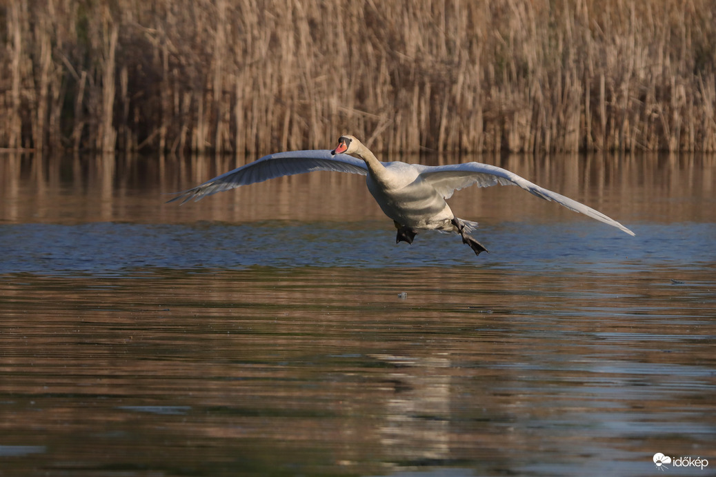 Antonov An-225 leszállás előtt... -- 
