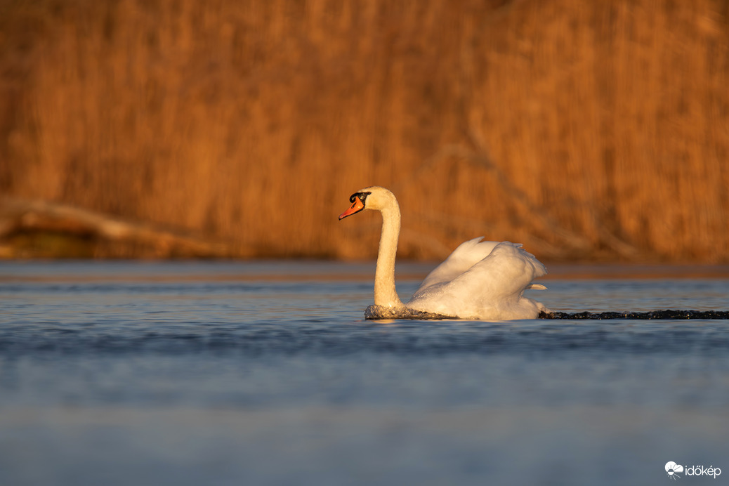 Tempó, iszkiri, vágta... -- 