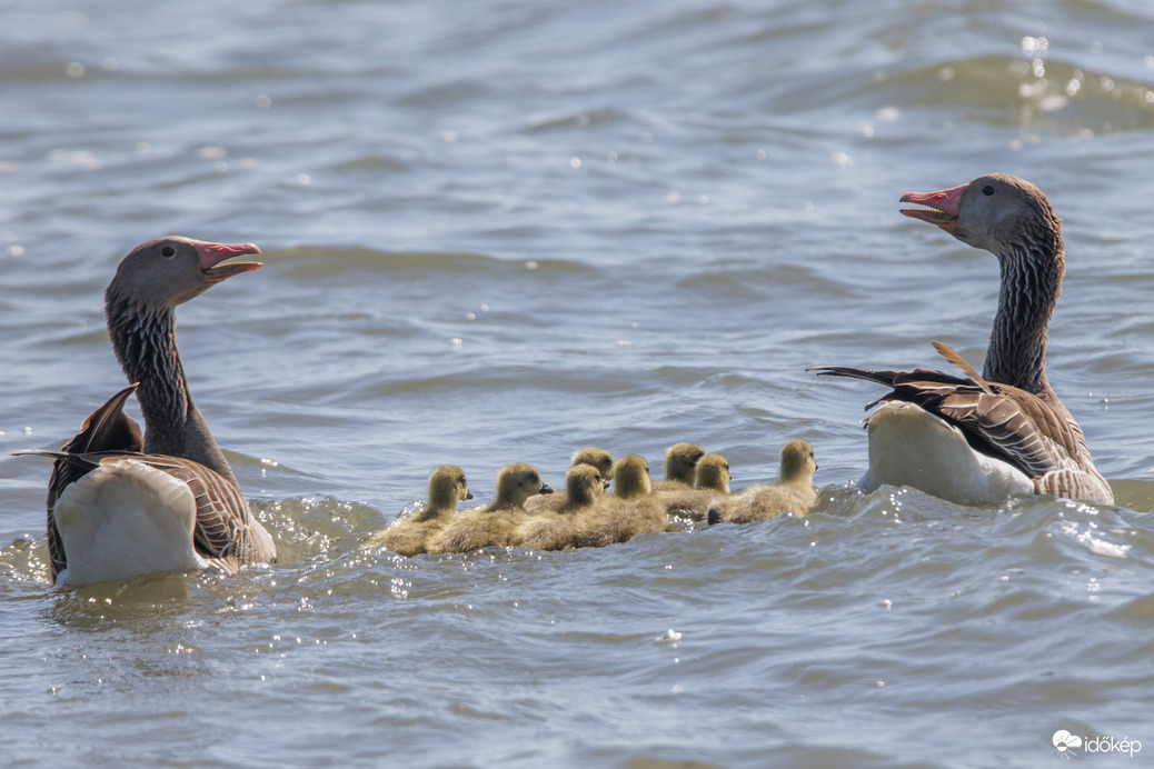 Papa, mama, gyerekek csupa szív, szeretet. -- 