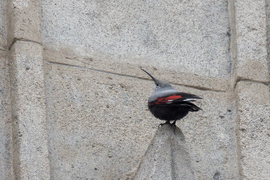 Boldog Karácsonyt kívánok! -- 