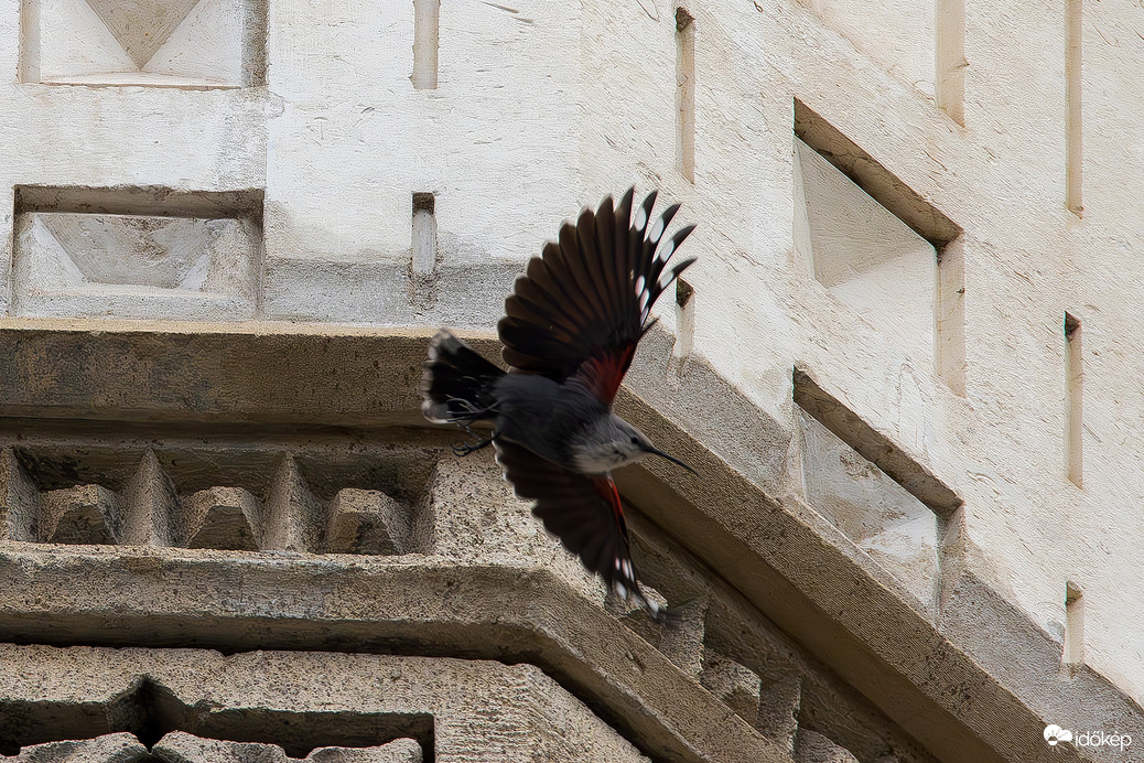Száguldás a vigadónál... -- 