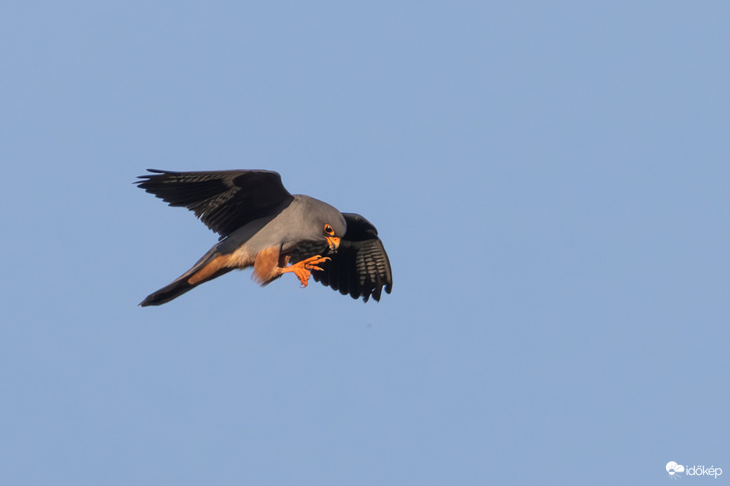 Mondtam, hogy megfoglak... -- 