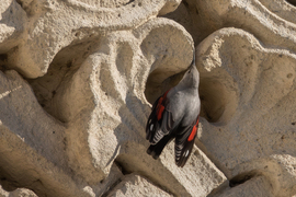 Helyzetjelentés a Vigadóról... Még itt vagyok ám!