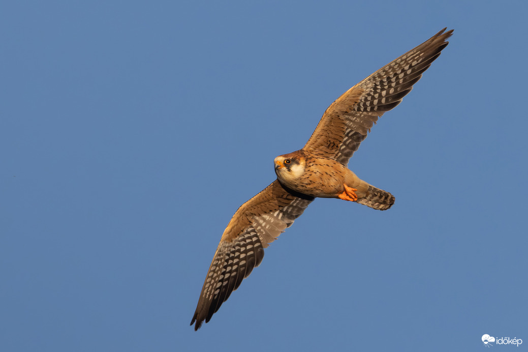 Megvilágítva... -- 