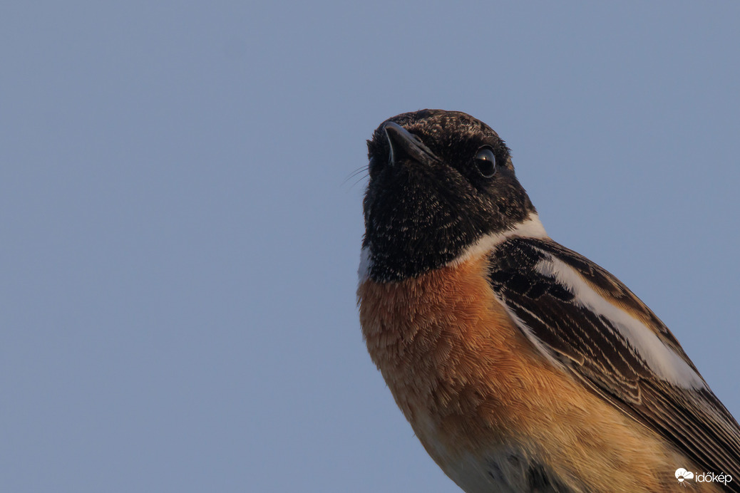 Utolsó sugarakban... -- 