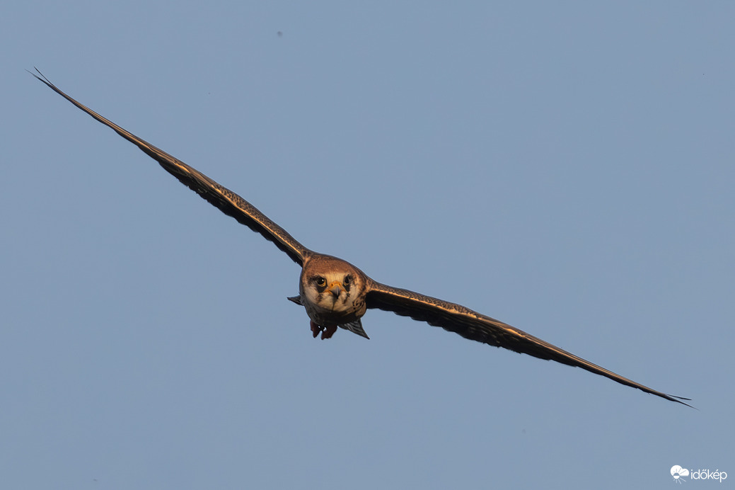 Én is jövök... -- 