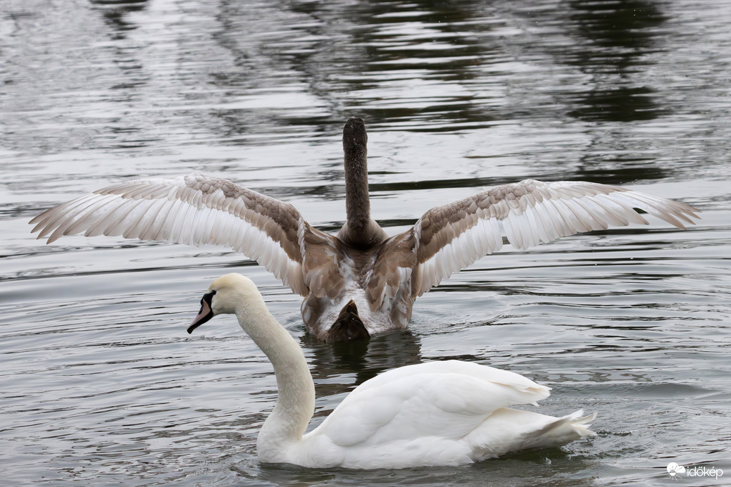 Újévi nyújtózás... -- 