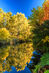 Reggel a Holt-Marosnál