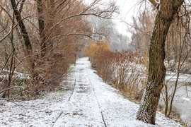 Havazás a Holt-Marosnál