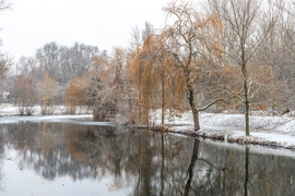 Havazás a Holt-Marosnál