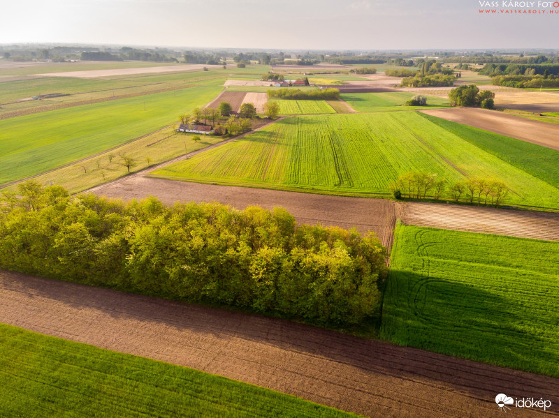 Tavasz a mezőkön