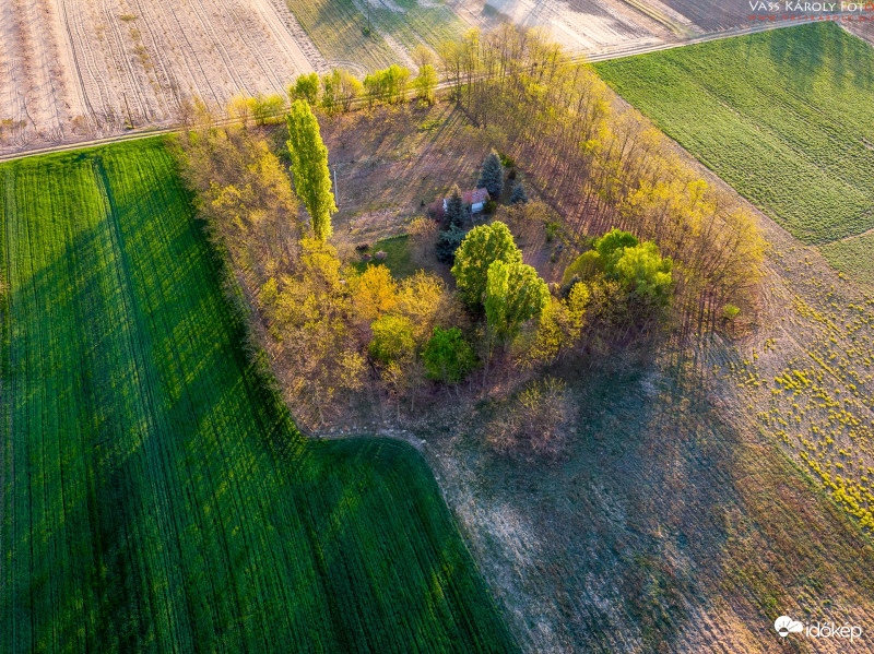 Ébred a tanyavilág