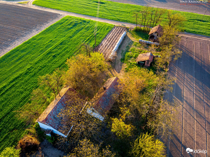 Ébred a tanyavilág