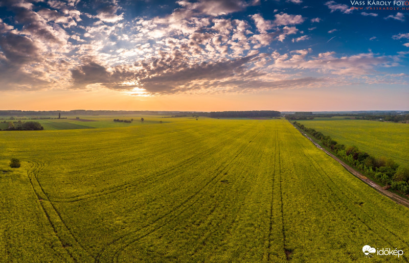 Ébred a repcemező