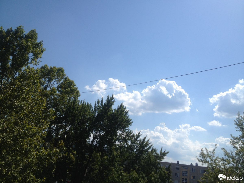 Észlelési fényképek