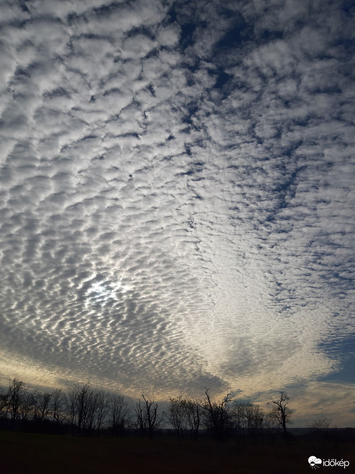 Észlelési fényképek