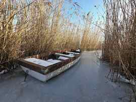 Bújócska a nádasban 2