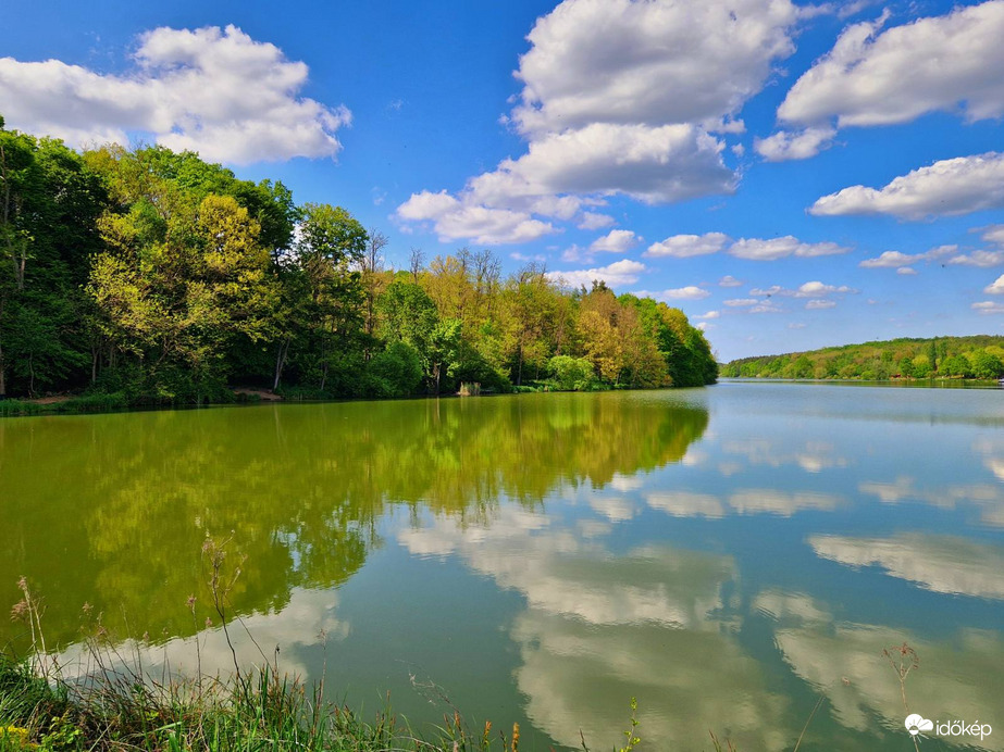 Borostyán tónál
