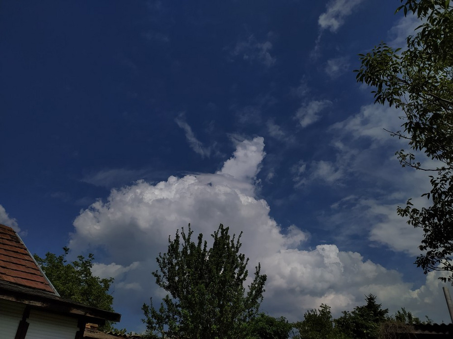 Észlelési fényképek