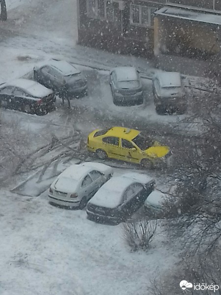 Észlelési fényképek